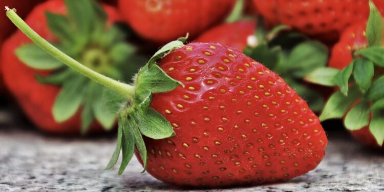 INVESTIGA FDA POSIBLE HEPATITIS EN FRESAS MEXICANAS