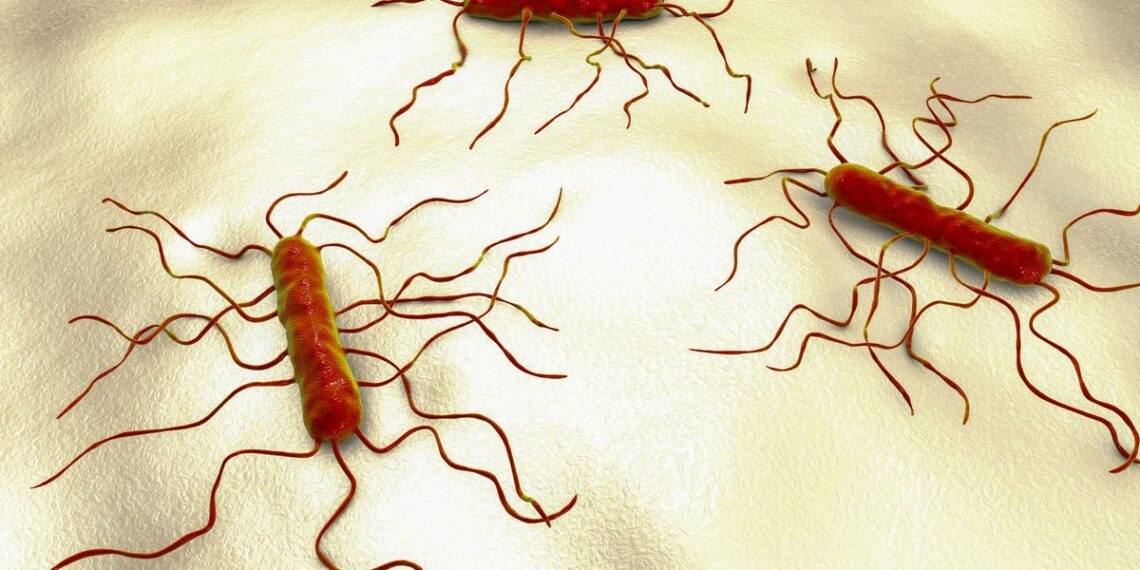 Posible brote de listeria por fruta congelada vendida en supermercados de Texas