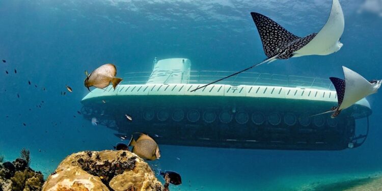 Requisitos y qué tan seguro es el submarino Atlantis Cozumel
