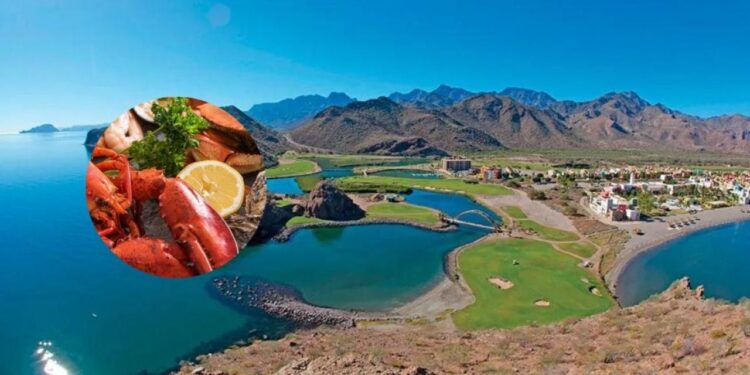 Deleita tu palabra con los mejores platillos de Baja California en el Baja Seafood Festival