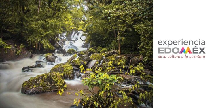 Fortalecimiento del Fideicomiso de Promoción Turística y reglas de operación de proyectos, peticiones ante la nueva administración