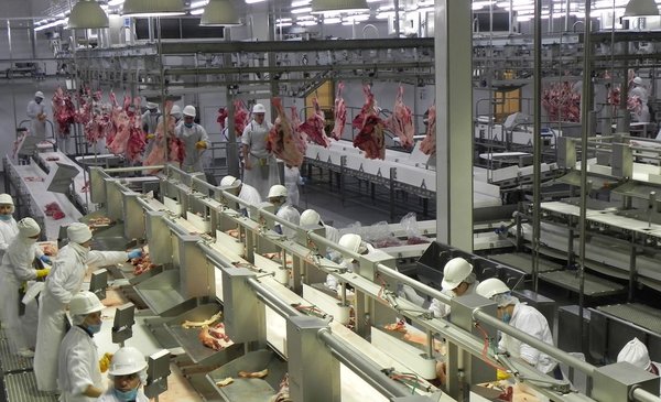 Comisión de Defensa de la Competencia decidió no consultar a gremiales del agro