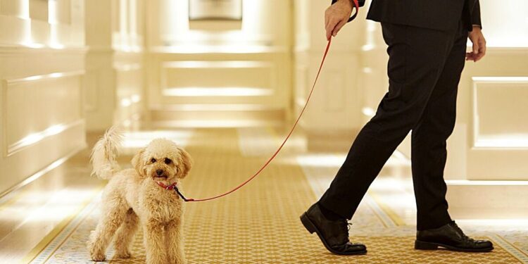 El Hotel Majestic, un icono catalán multipremiado