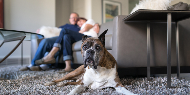 consejos para una estadía ideal