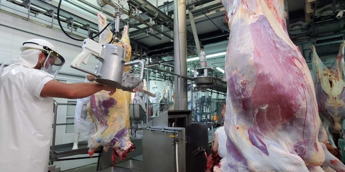 Productores sorprendidos: MEF los excluyó de ronda de consultas - Rurales