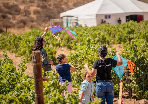 Fiesta de los Viñedos en Flor 2023. Un esfuerzo colaborativo que fomenta la sustentabilidad