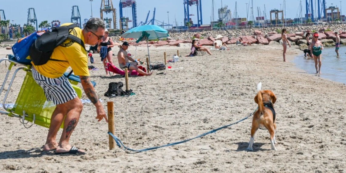 Ya está abierta la playa para perros de Pinedo en Valencia