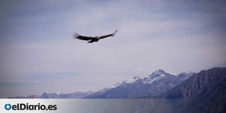 en busca de las fuentes del Amazonas