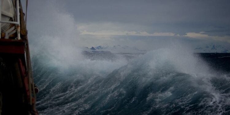 ¡De terror! Tormenta azota a pasajeros de un crucero en Florida y VIDEO se viraliza