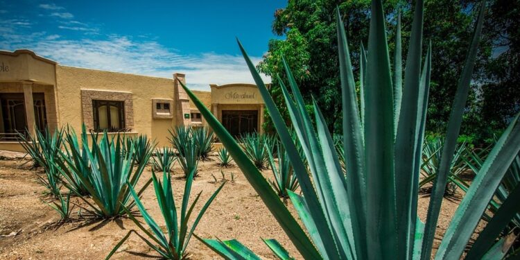 ¿Qué es el turismo gastronómico? Mejores destinos en México