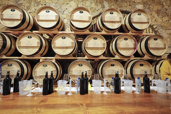Inician las Fiestas de la Vendimia 2023 en El Cielo Valle de Guadalupe