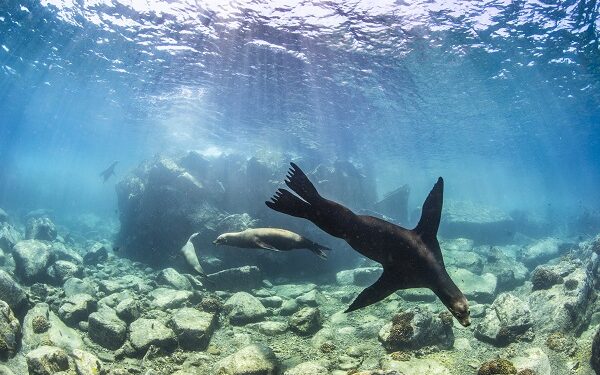 Entre islas y montañas: disfruta del contacto con la naturaleza en el Golfo de California