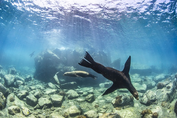 Entre islas y montañas: disfruta del contacto con la naturaleza en el Golfo de California