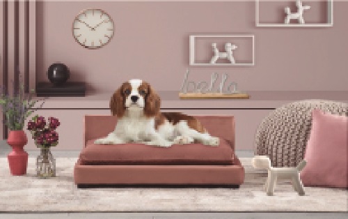 Un hogar acogedor para los perri – hijos: Consejos de decoración para pet lovers
