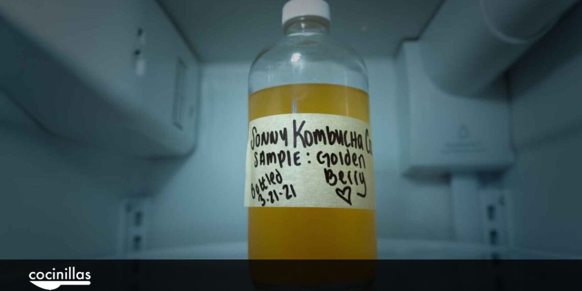 Así puedes hacer tu propia kombucha en casa con la receta de un tres estrellas Michelin