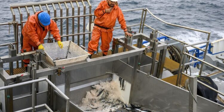 Empresas pesqueras chilenas reducen su huella de carbono en un 14% desde 2018