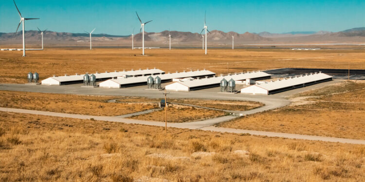 En silencio, China se está convirtiendo en uno de los mayores terratenientes de Estados Unidos