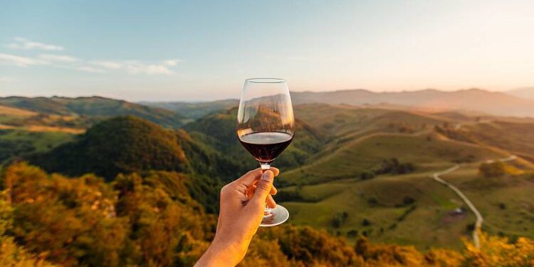 DOCa Rioja: epicentro del enoturismo mundial