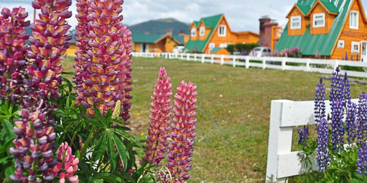 conocé las fechas, los topes de reintegros, requisitos y beneficios