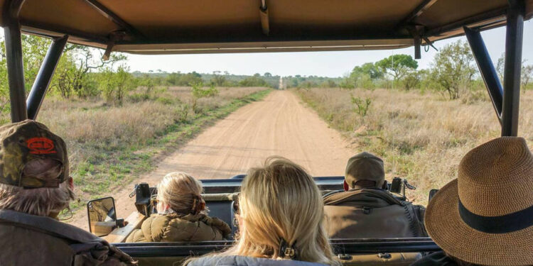 Desde safaris hasta dormir en el único sitio habitable del Polo Sur: así son los viajes más lujosos del mundo - Vivir