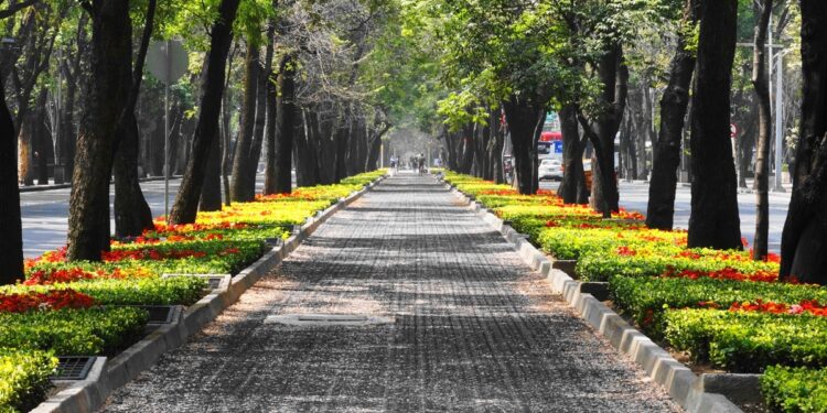 ¡La CDMX dentro del top 100 de las mejores ciudades!