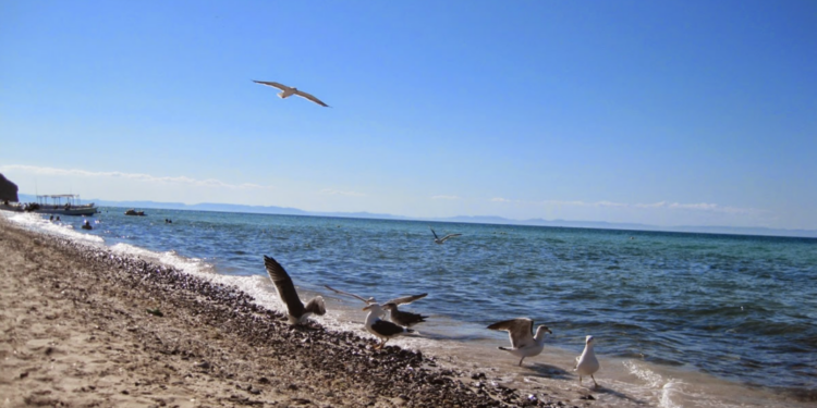Cómo y a dónde viajar para sacarle provecho al verano