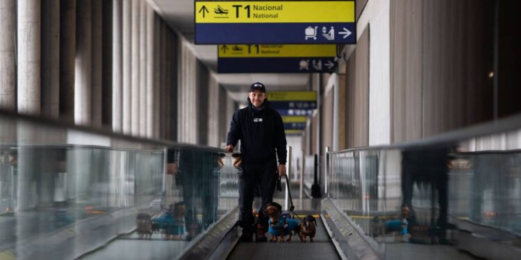 Aeropuerto de Santiago reporta un aumento del 64% en viajes con mascotas y superan cifras pre pandemia