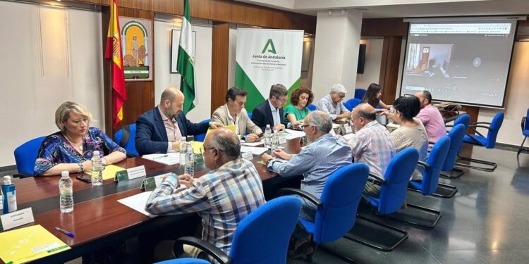 El Consorcio de Transporte Metropolitano de Jaén registra 524.880 viajes en mayo y "recupera niveles prepandemia"