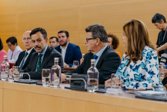 El Cabildo aprueba el mapa estratégico Tenerife Smart Destination, que prevé hacer de la isla un polo de innovación turística