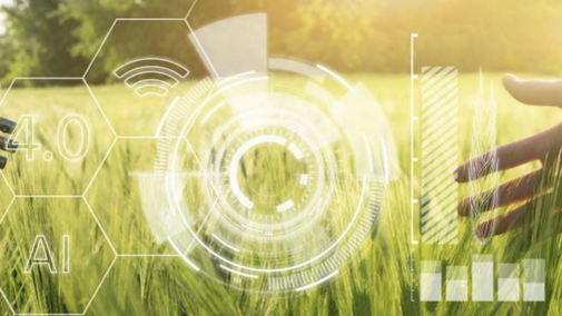 una oportunidad para afrontar el futuro