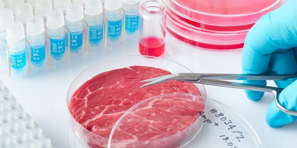 carne-cell-based