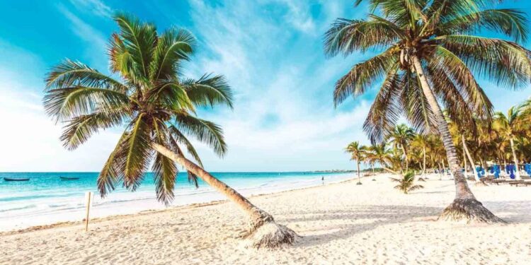 Las mejores playas para visitar en México