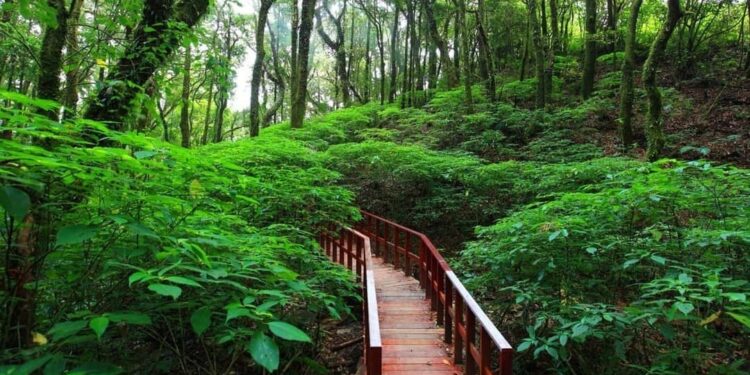 93% de los viajeros en Colombia busca viajar de manera más sostenible en 2023