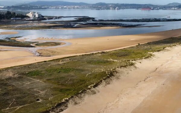El mapa de las playas a las que puedes ir con tu perro en España: de arenales vírgenes a calas con mucho encanto
