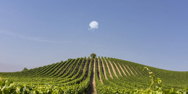 cinco motivos para visitarla... y no querer irse