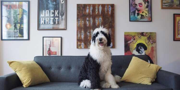 Cuatro maneras de viajar barato este verano del Hemisferio Norte