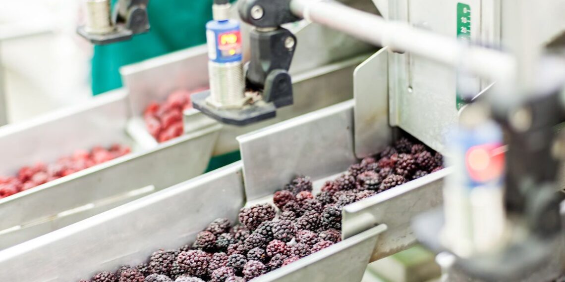Close up of frozen fruit in a sorting machine, representing the Kroger frozen fruit recall.