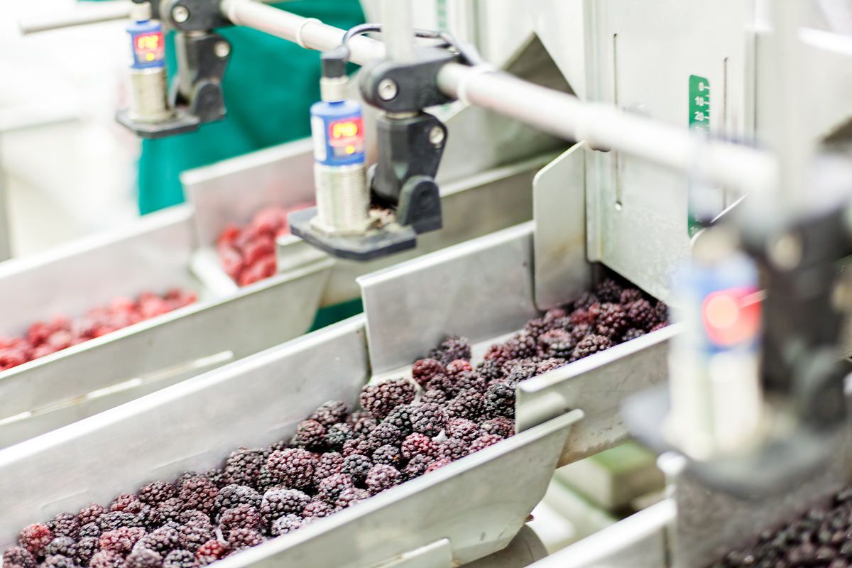 Kroger Impacted by the Widening Frozen Fruit Recall Dimension