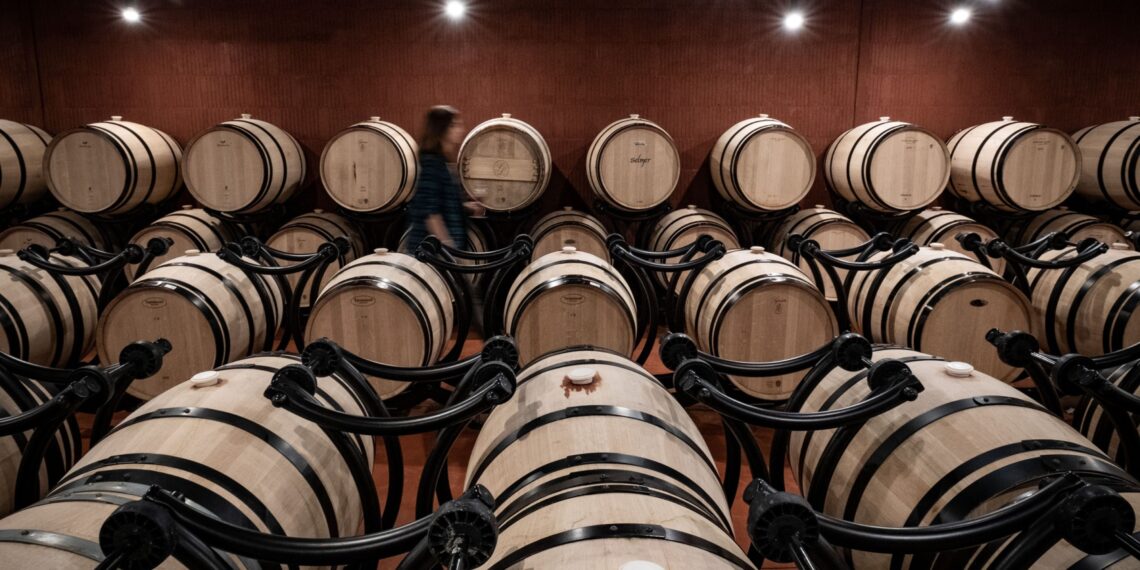 Vinos argentinos, chilenos y uruguayos pisan fuerte en ranking de 1...