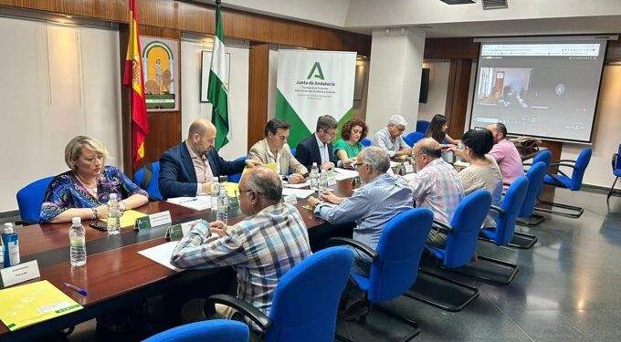 El Consorcio de Transporte Metropolitano registra 524.880 viajes en mayo y...