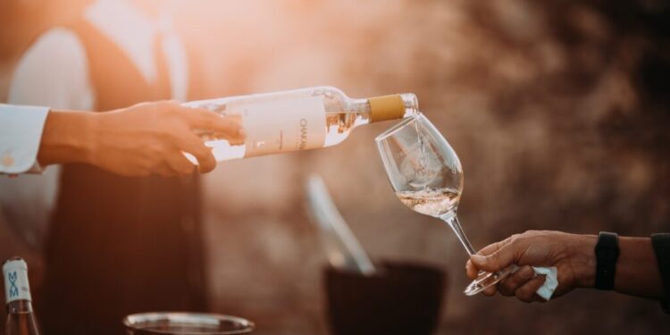 Radiografía del enoturismo, una experiencia que se consolida en España