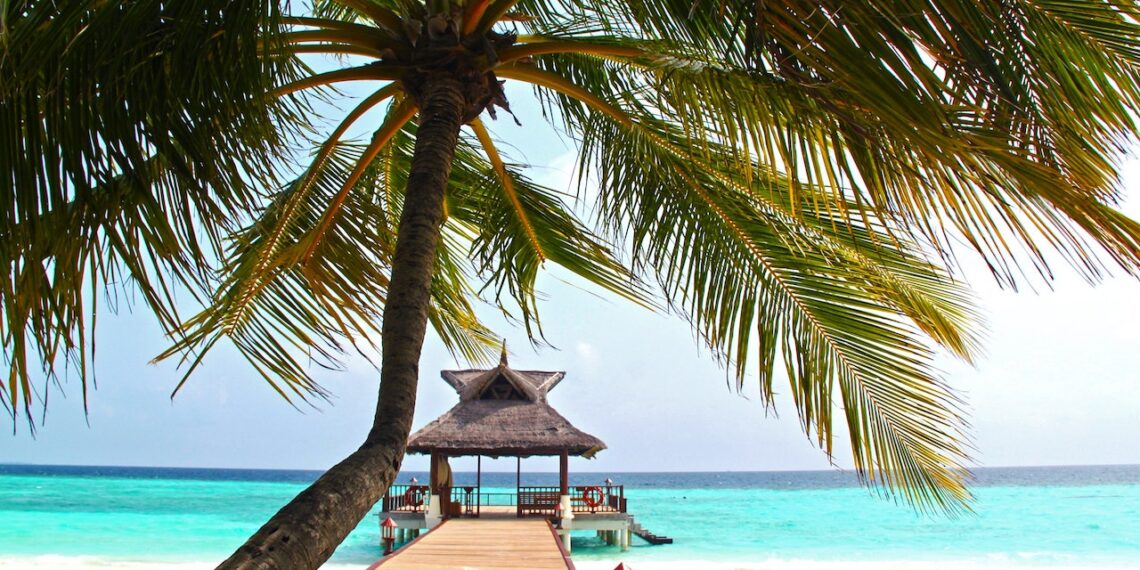 El 80% de quejas ante PROFECO en el sector turismo, se trata de fraudes digitales