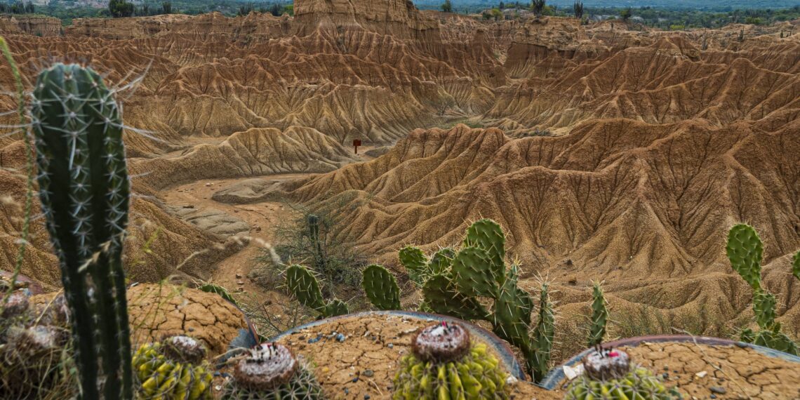 ¿Cuál es la mejor época del año para ir al Desierto de la Tatacoa?