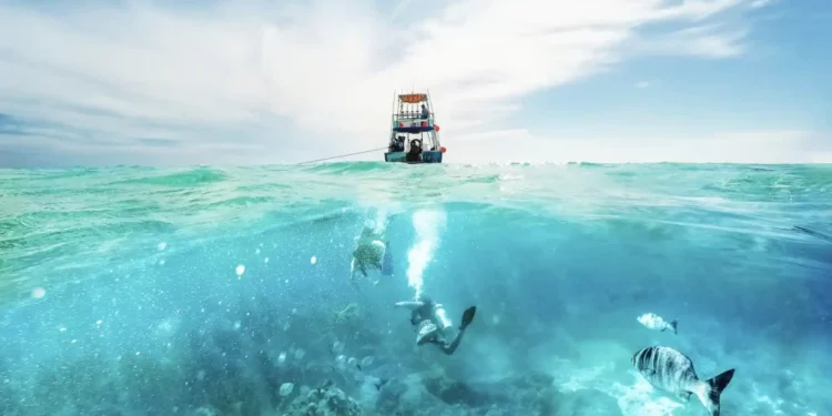 Las mejores excursiones para hacer en la Riviera Maya — Conocedores.com