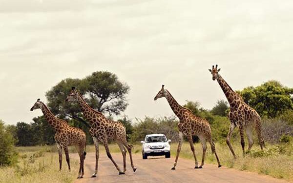 El Económico - Los mejores destinos para viajar a África