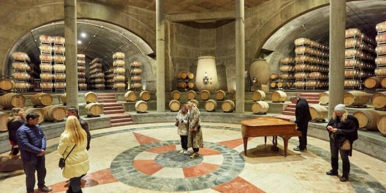 Mucho más que una copa. Cuál es la actividad turística que crece en Mendoza y tiene opciones para todos los bolsillos