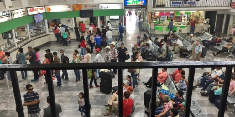 Vacaciones de verano: ¿Cuáles son los descuentos para viajar en autobús este 2023? | Noticias de México