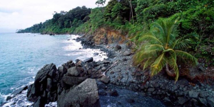 Presidente de Cotelco anticipa una caída del 4.8 % en la ocupación hotelera durante la temporada de mitad de año