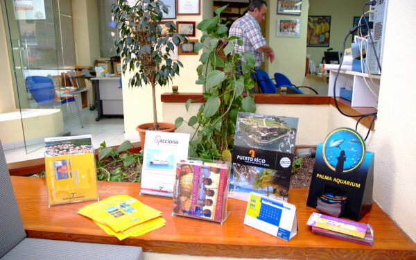 ¿Quién emprenderá la reunificación de las agencias de viajes?