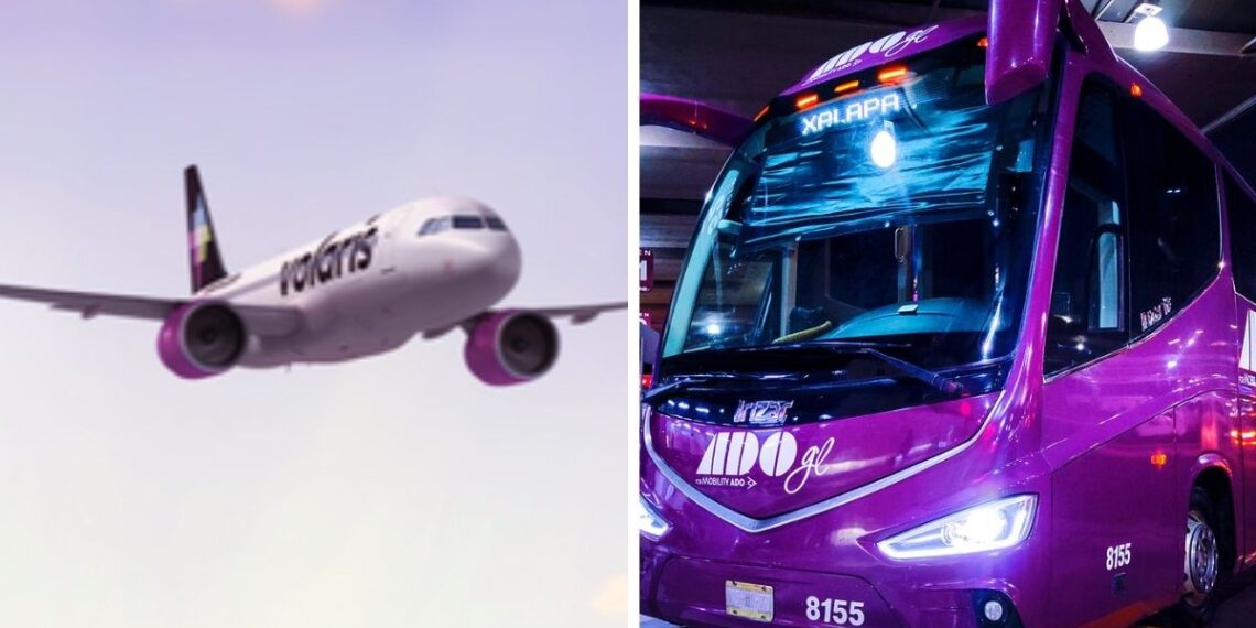 Derechos que tienes al viajar en autobús o avión